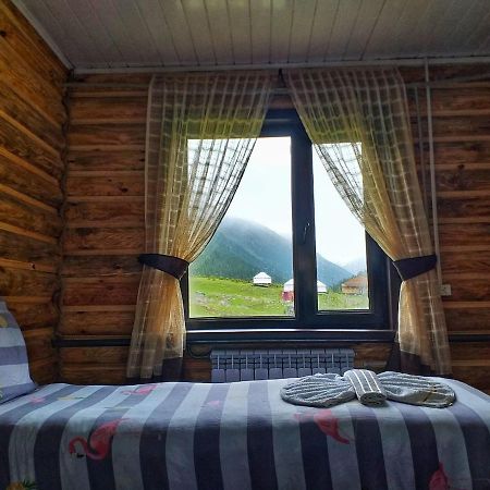 Altyn Arashan Guesthouse المظهر الخارجي الصورة